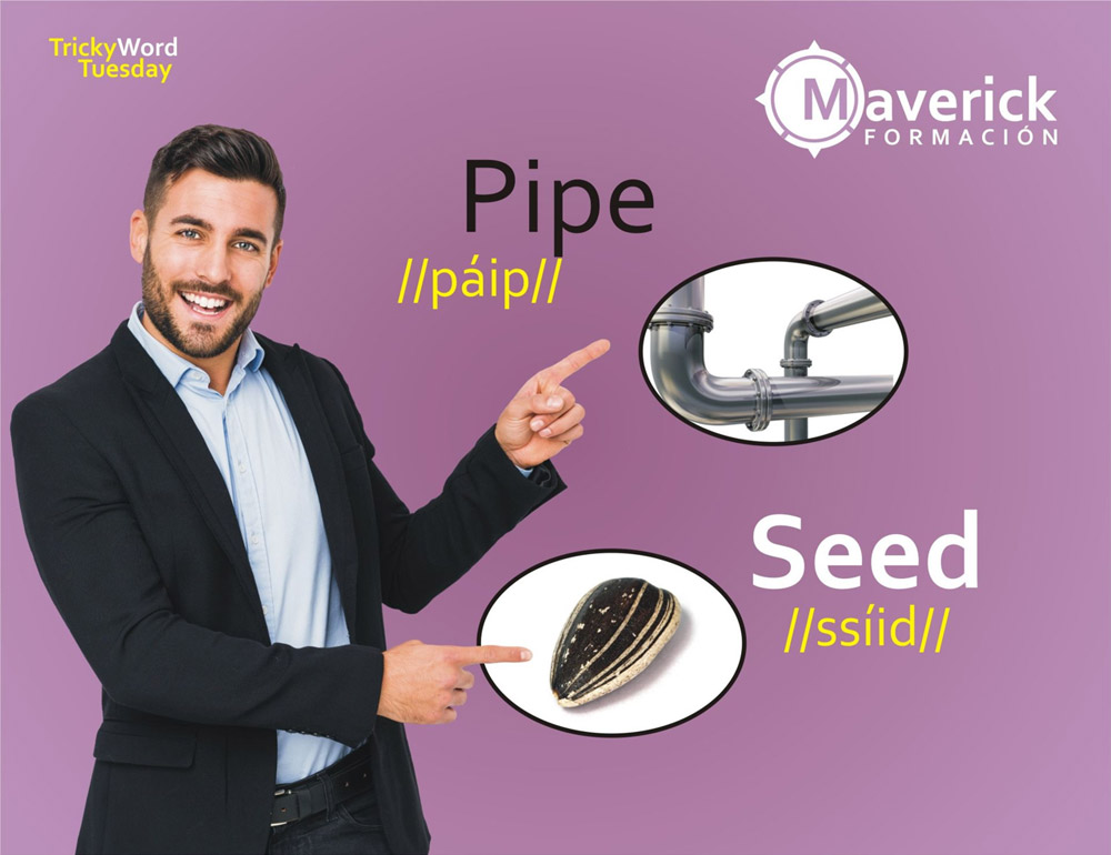 Pipe / Seed